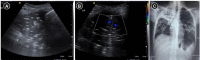 Figure 13.
