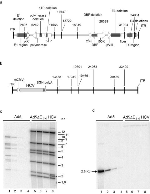 FIG. 5.