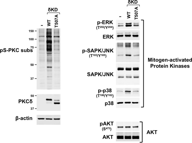 FIG 6