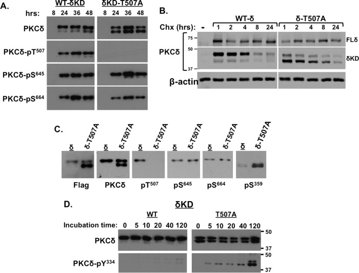 FIG 2