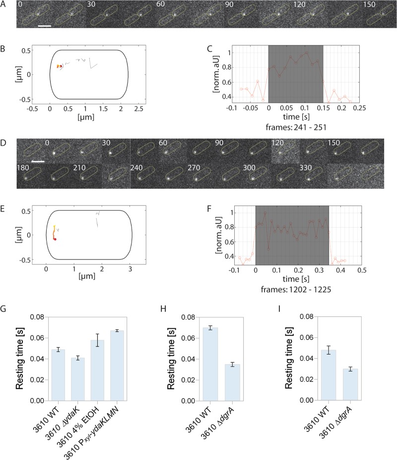 FIG 2