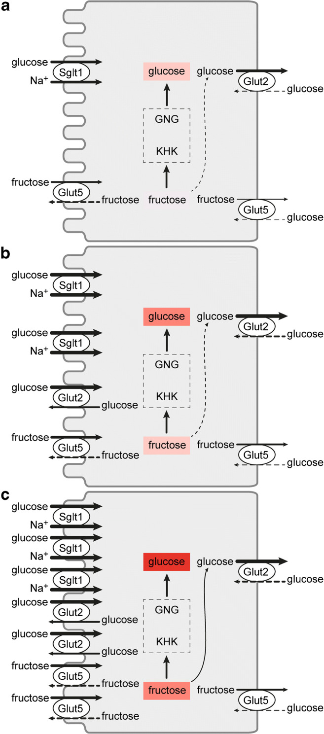 Fig. 7