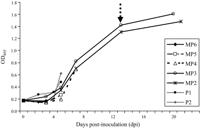 Figure 3.