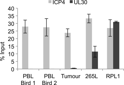 Fig 7