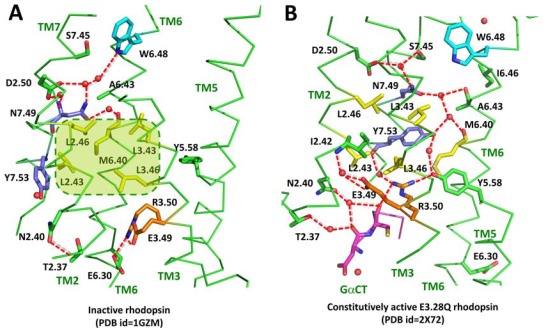 Fig. (3)