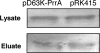 FIG. 8.
