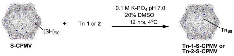 Scheme 2