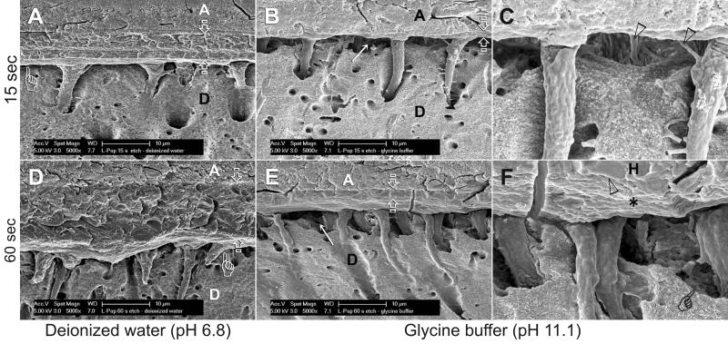 Fig.2