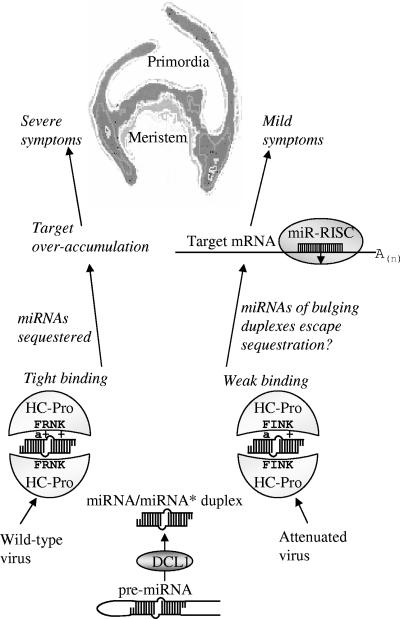 FIG. 9.