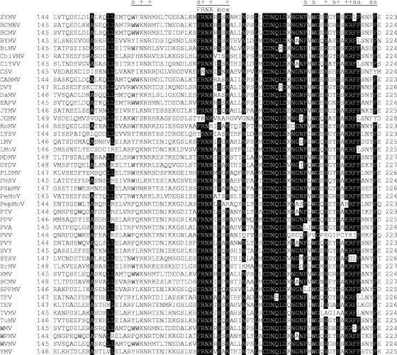 FIG. 8.