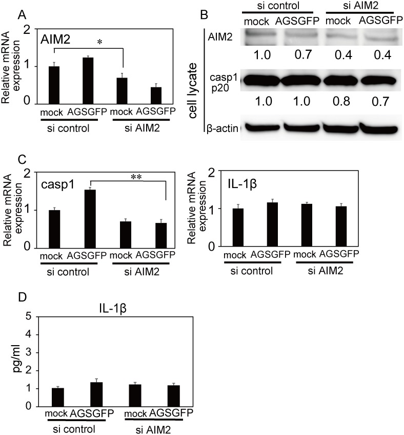 Fig 4