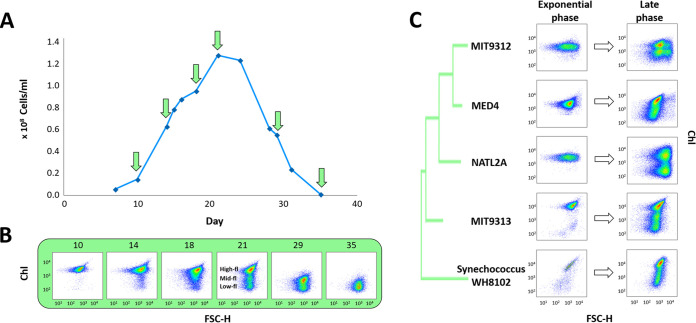 FIG 1