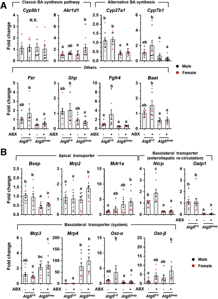 Figure 12