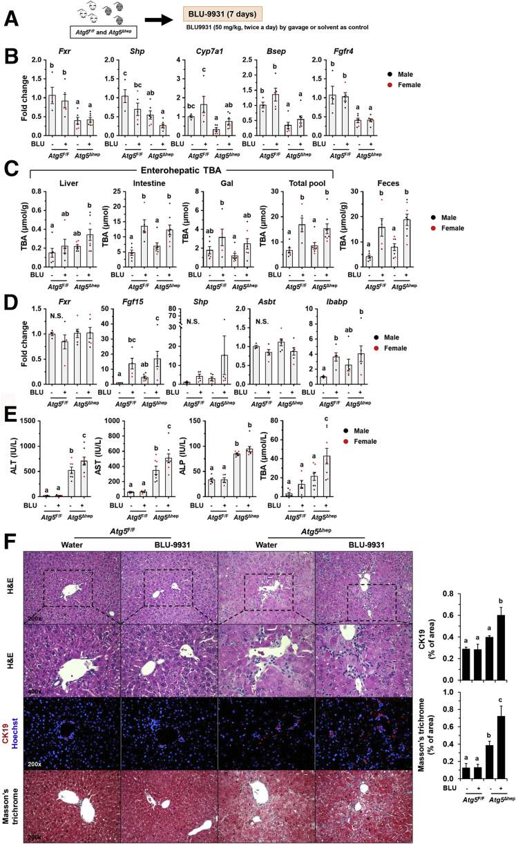 Figure 17