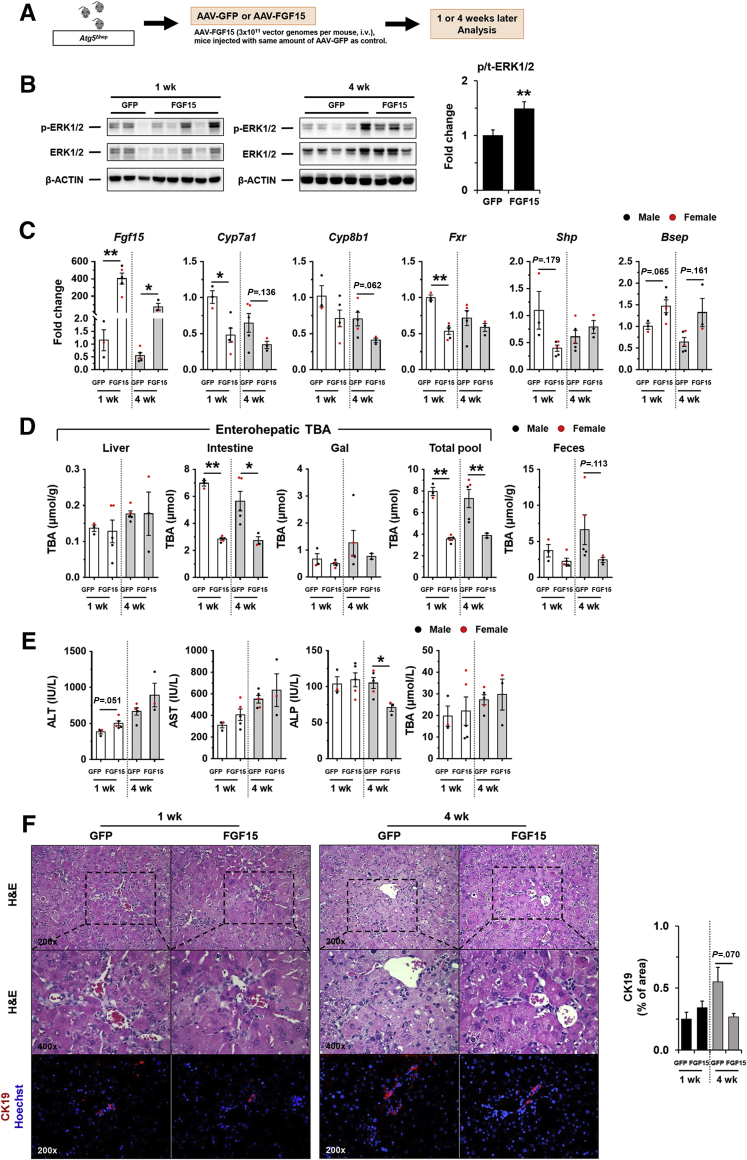 Figure 15