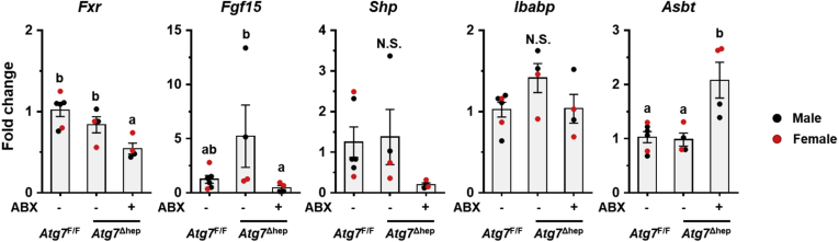 Figure 11