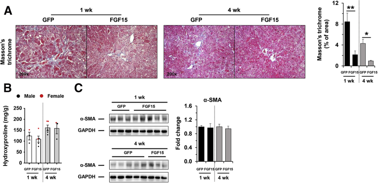 Figure 16