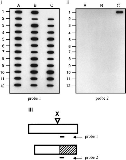 Figure 2.—