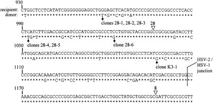 Figure 3.—