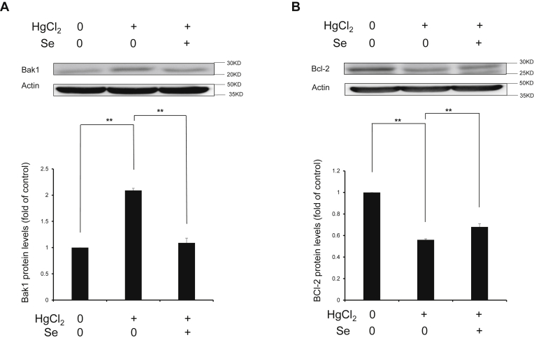 Figure 6