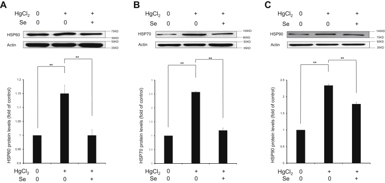 Figure 7