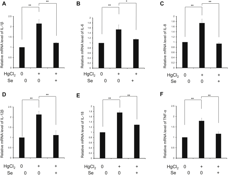 Figure 5