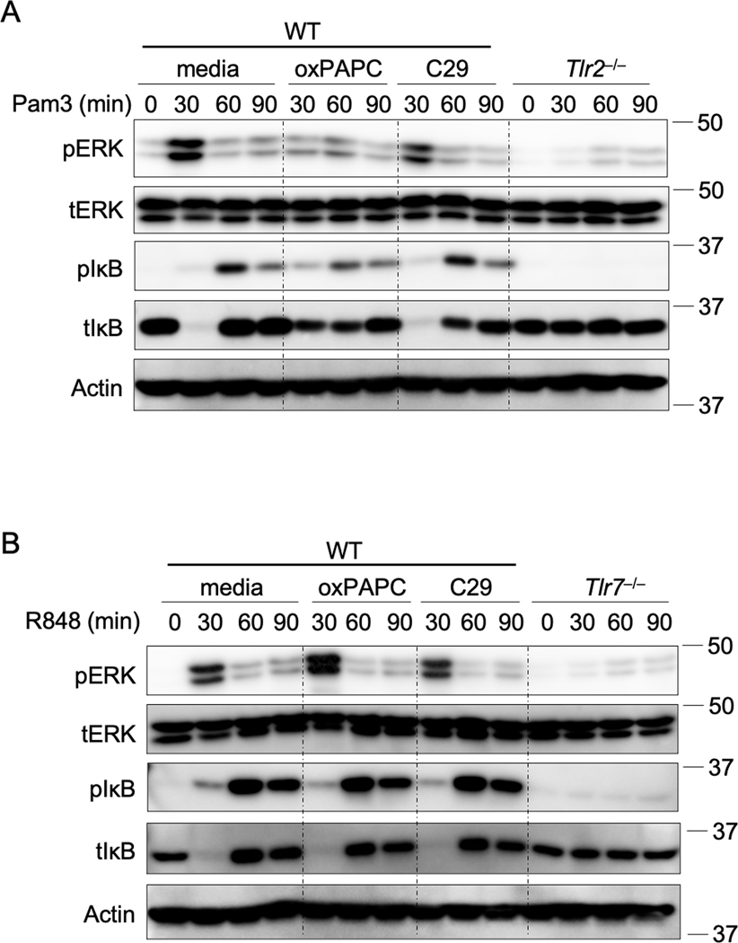 Extended Data Fig. 4