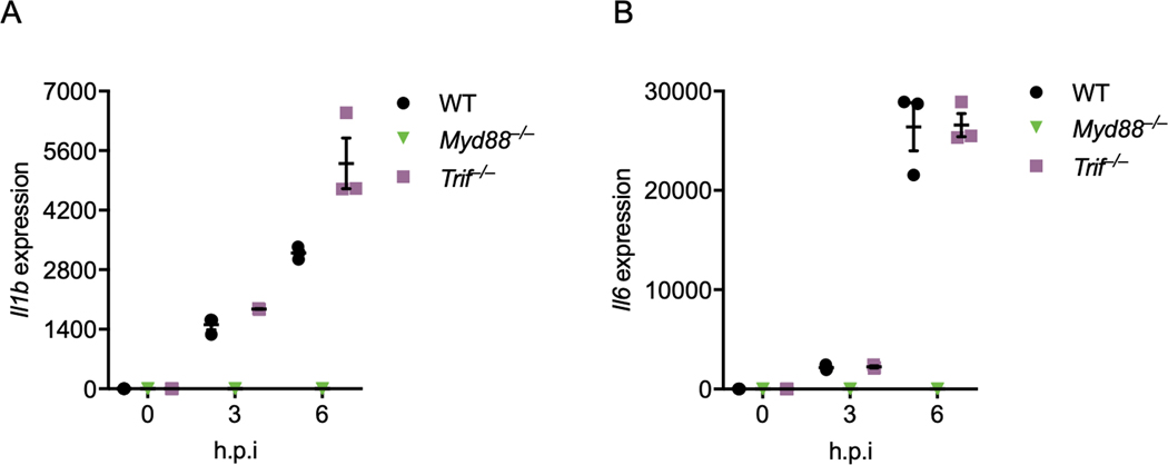 Extended Data Fig. 1