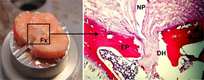 Fig. 2