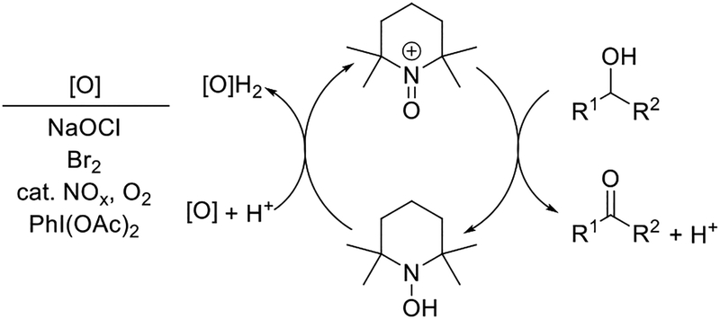 Scheme 4.