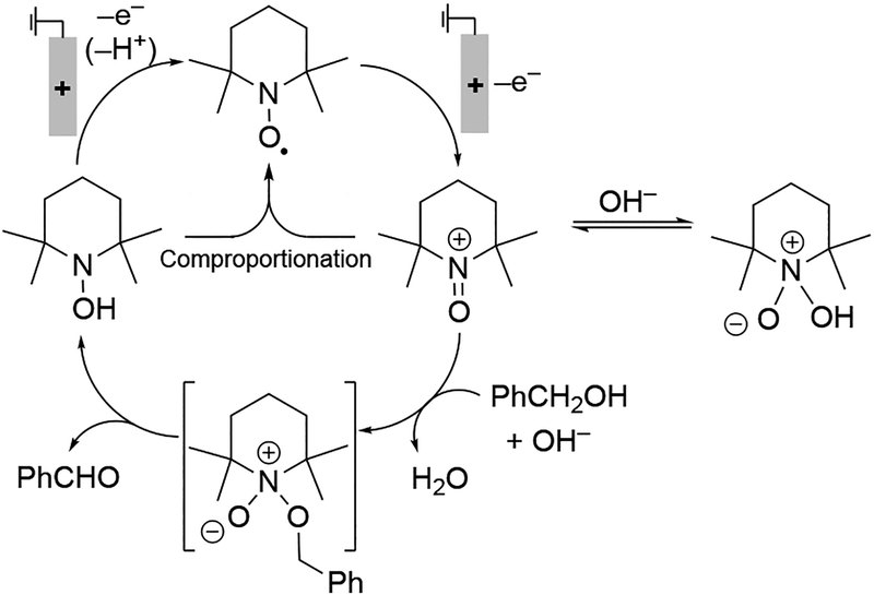 Scheme 30.
