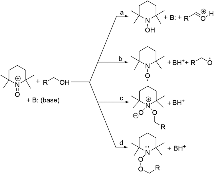 Scheme 25.