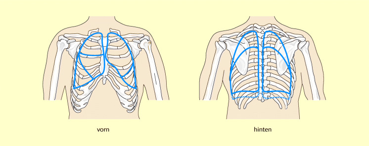 graphic file with name 6376_9_De_55_Fig10_HTML.jpg