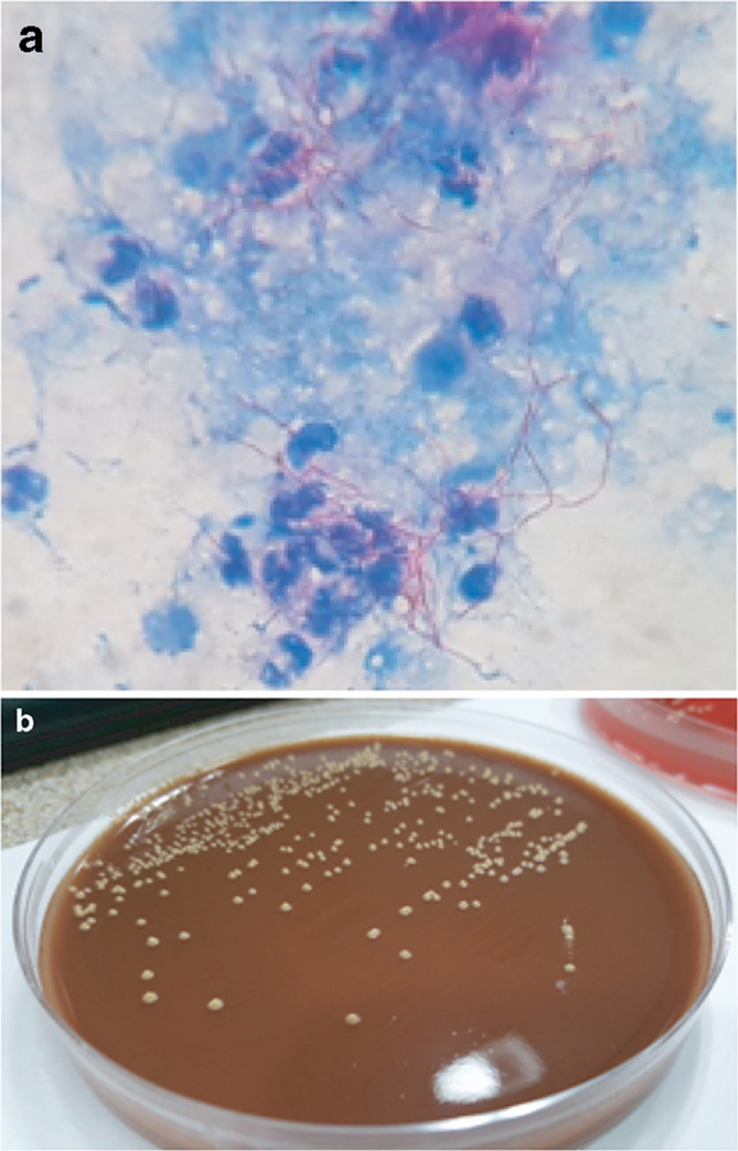 Fig. 3.