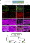 Figure 7: