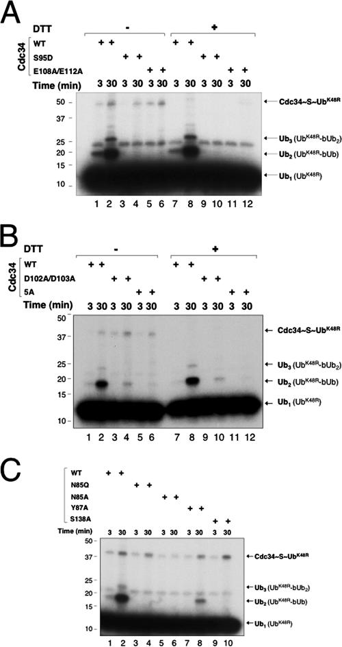 FIG. 5.