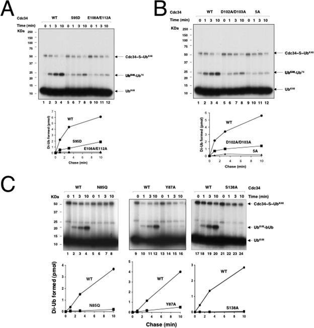 FIG. 6.