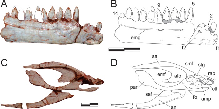 Fig 12