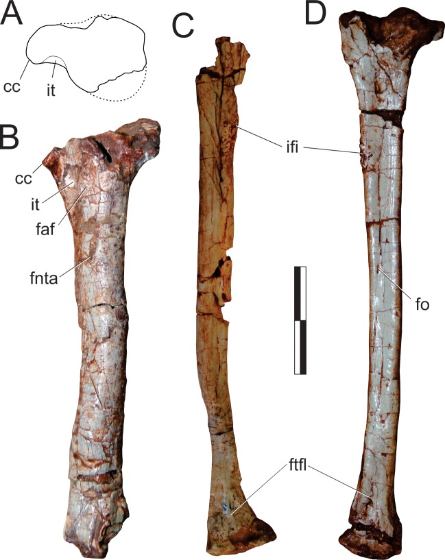 Fig 25