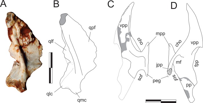 Fig 9