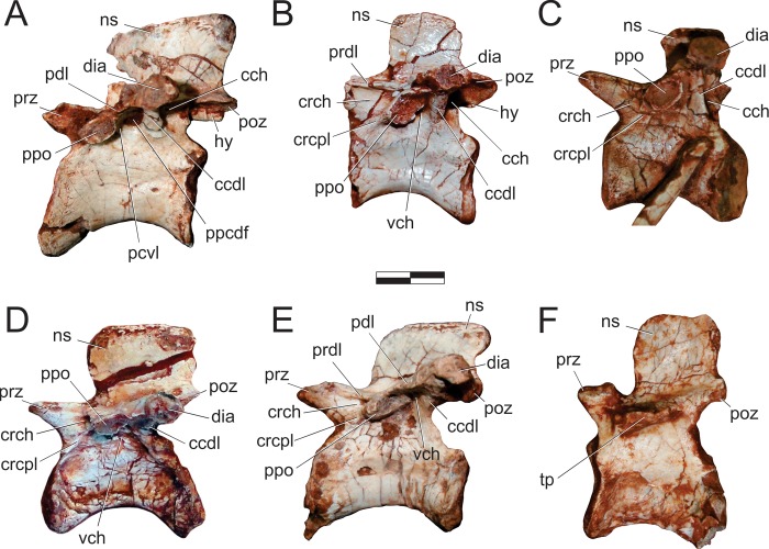 Fig 17