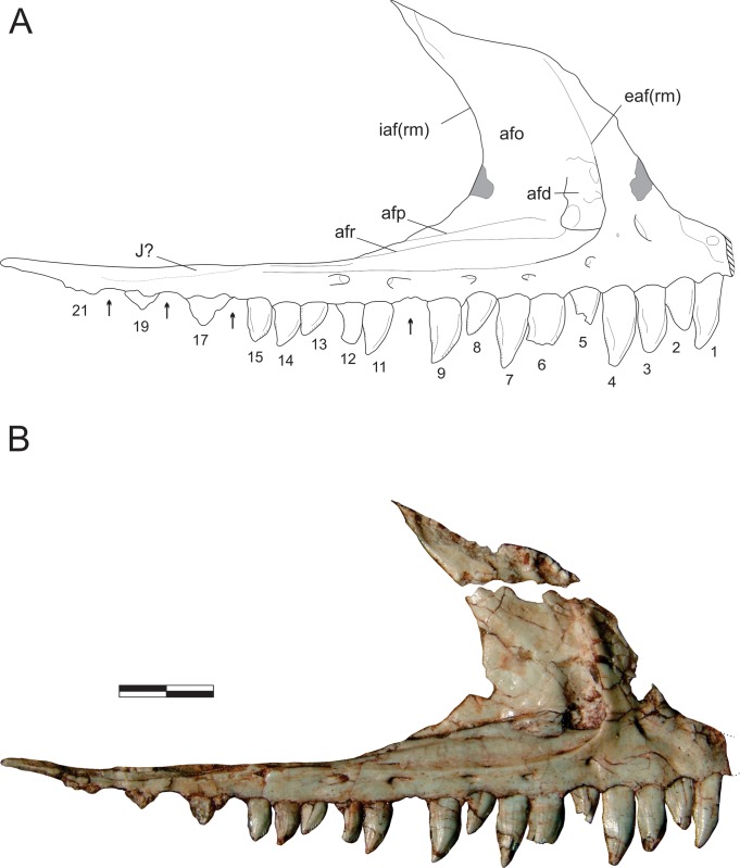 Fig 3