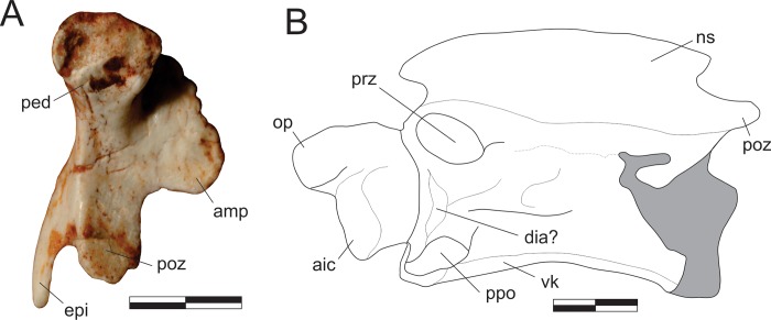 Fig 15