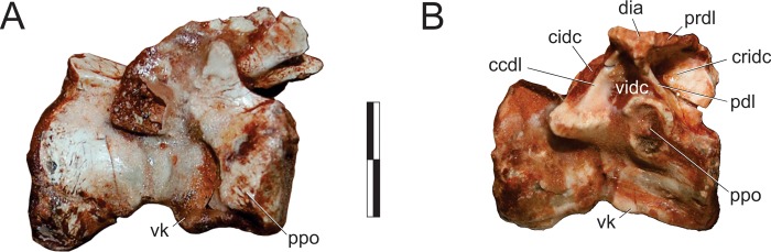 Fig 16