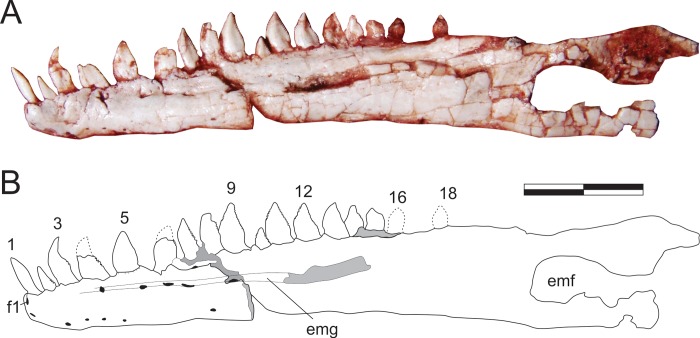 Fig 11