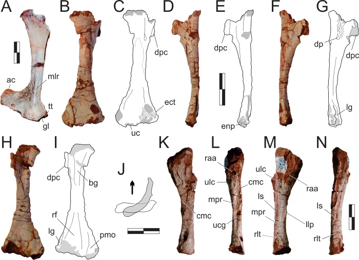 Fig 21