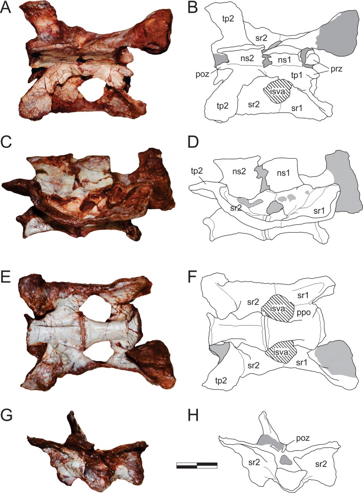 Fig 18