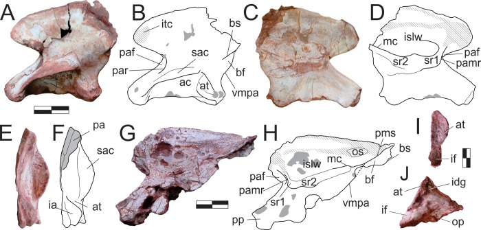 Fig 22