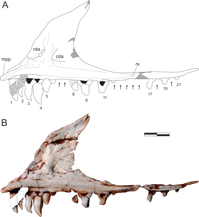 Fig 4