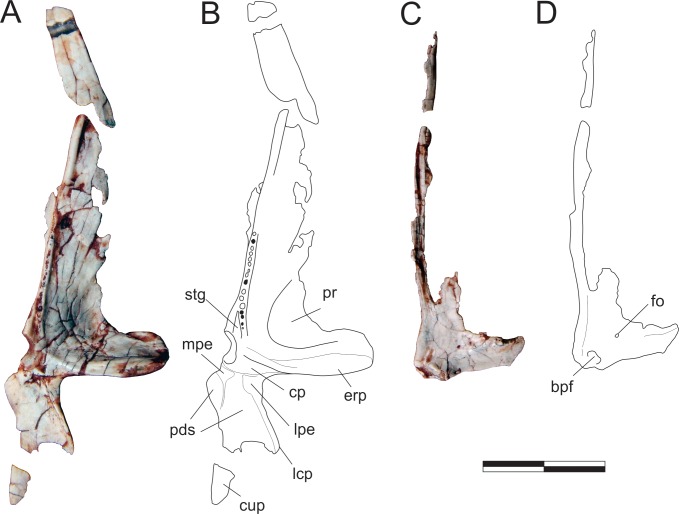 Fig 10